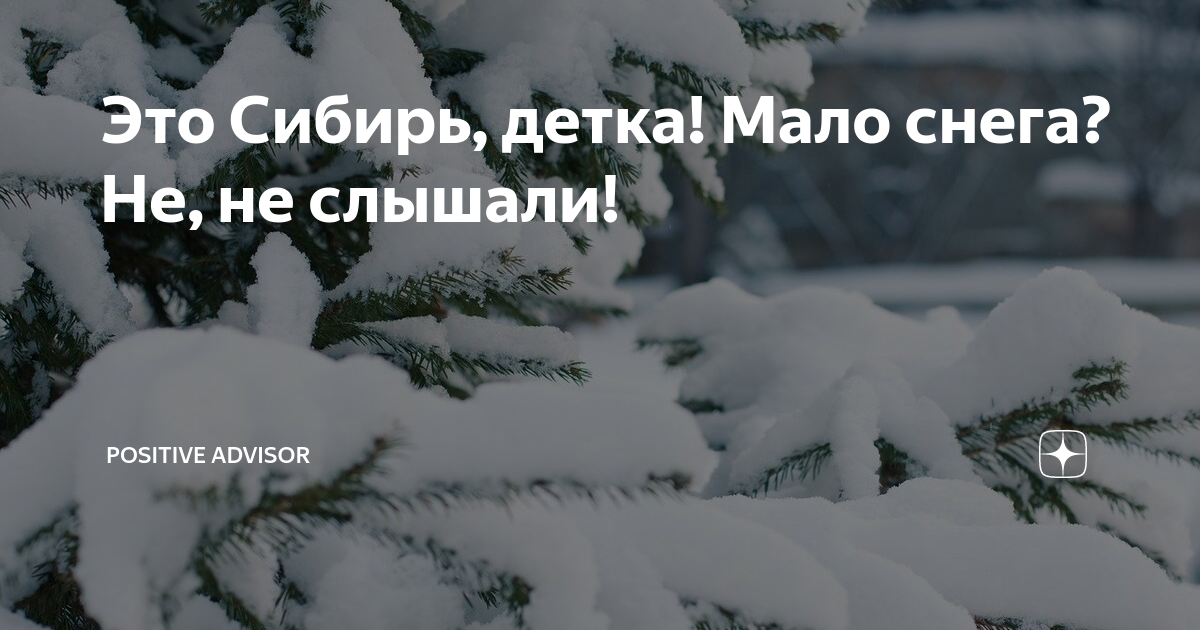 У нас мало снега. Это Сибирь детка. Это Сибирь детка фото. Это Сибирь детка картинки. Это Сибирь детка смешно