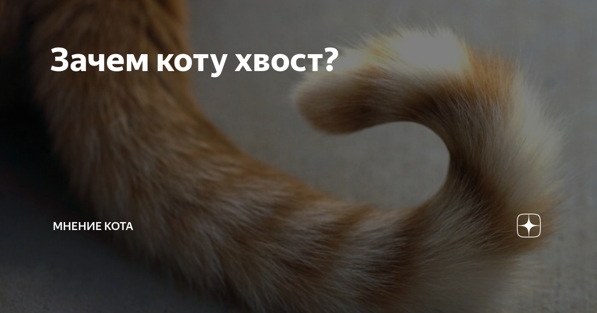 Коту под хвост это. Хвост кот дрём. Кошачий хвост для териантропа коричневый.