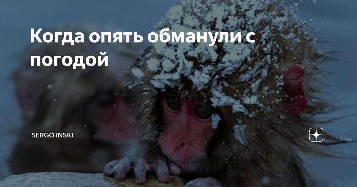 Нас снова обманули. Опять обманули. Литвин опять всех наебал картинки