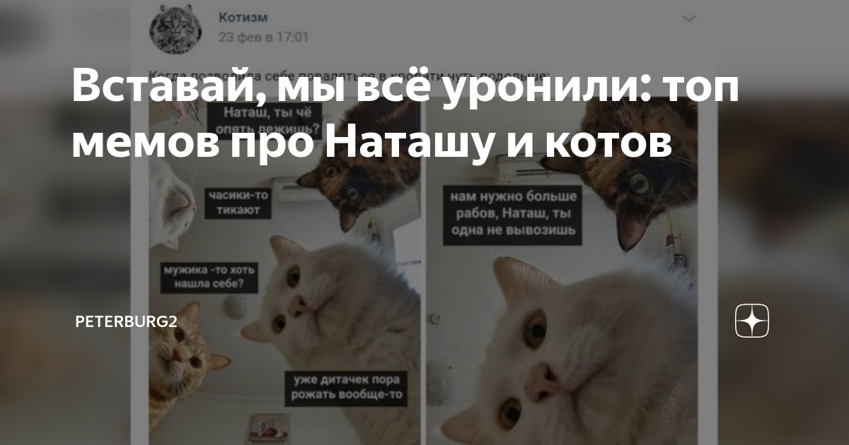Генератор мемов наташа вставай