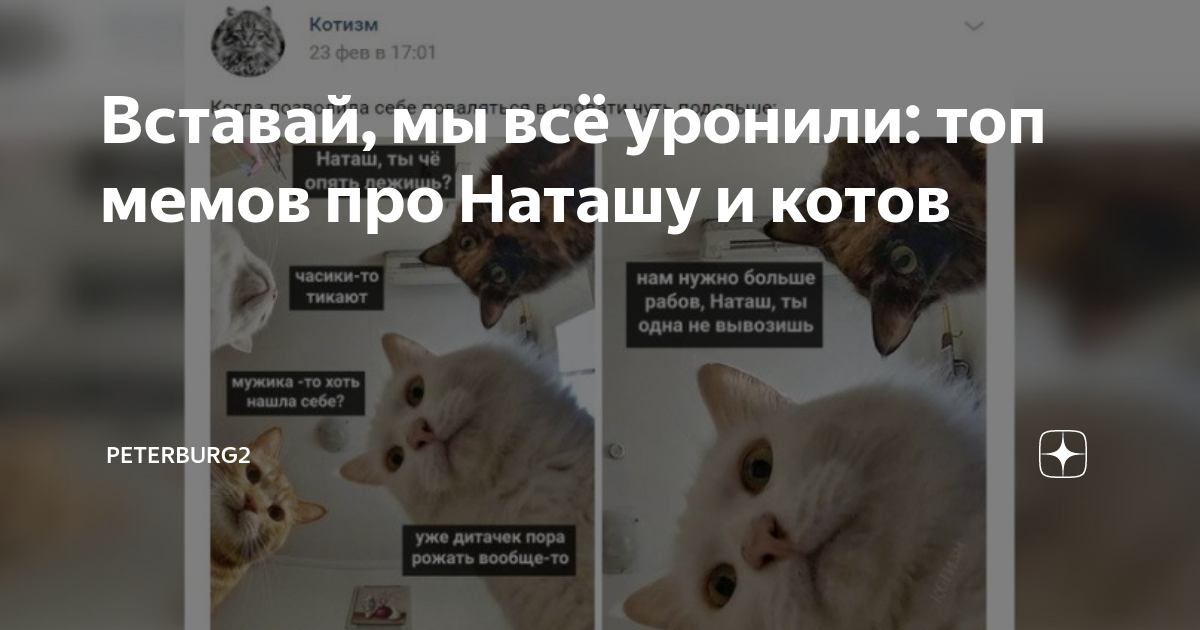 Про котов и наташу картинки с надписями