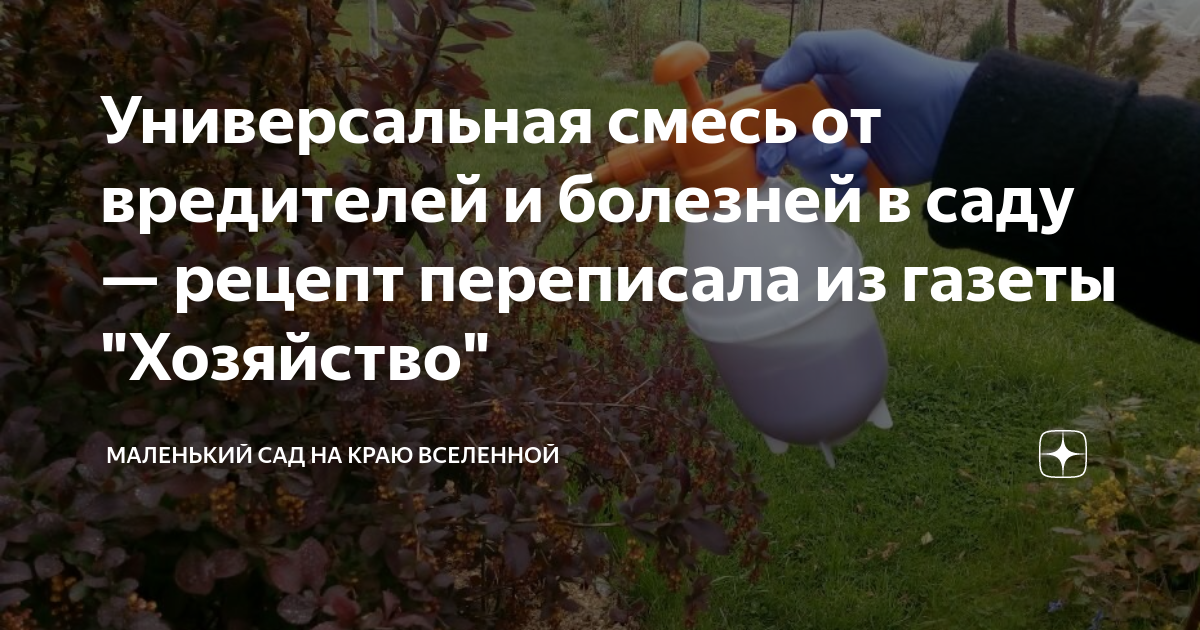 Адская смесь от всех вредителей в саду и огороде. Сад и огород адская смесь. Атцкая смесь для огорода. Адская смесь для сада. Атцкая смесь для огорода.