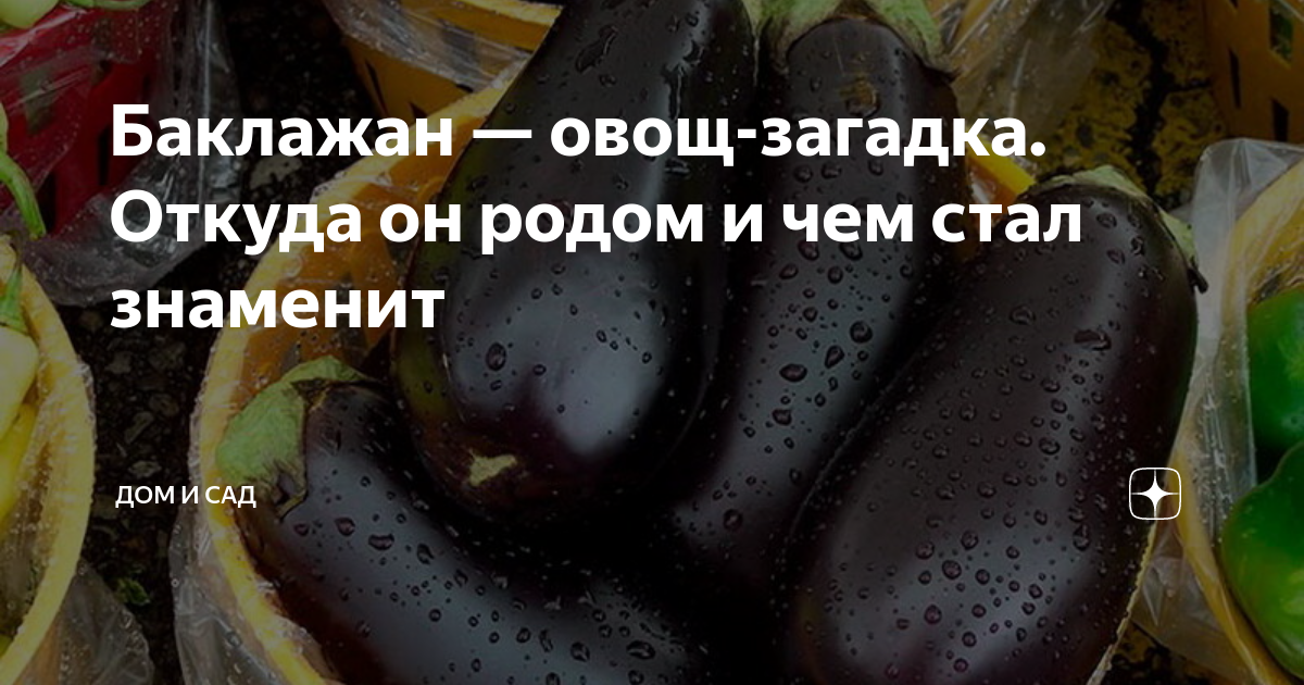 Баклажан — овощ-загадка. Откуда он родом и чем стал знаменит