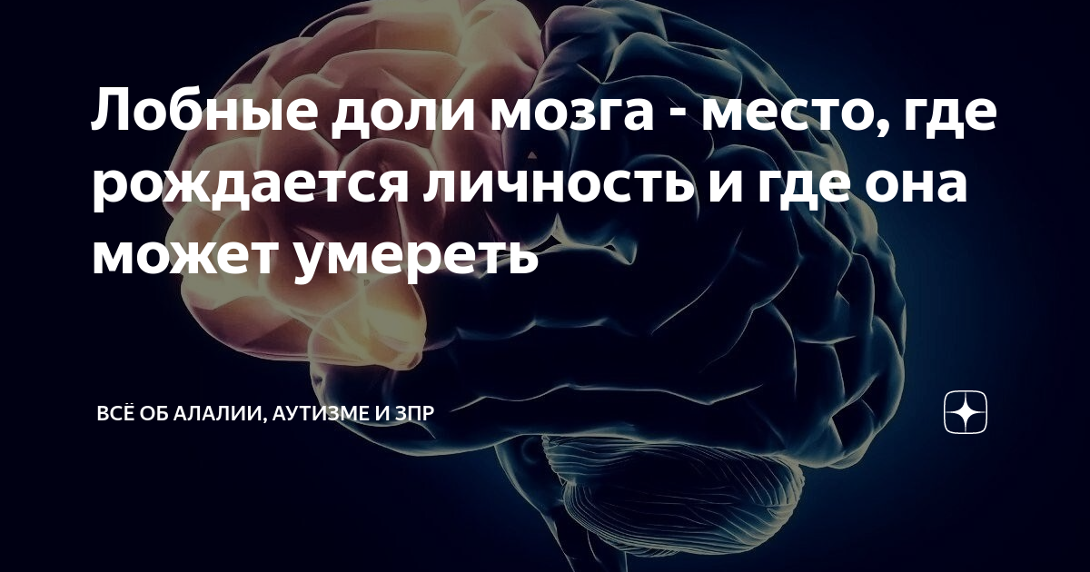 Море возвращает мозги на место. Люди с 25 % мозга скучут на мцдане. Можно ли восстановить мозг после усушки мозга.