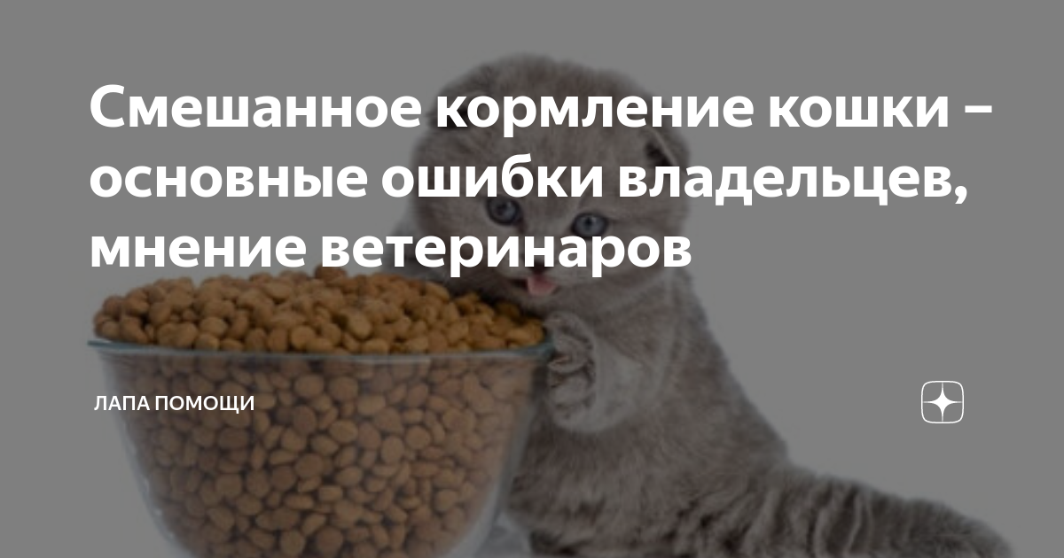 игровая потребность у собак. можно смешивать корма собаку. можно смешивать корма собаку. собачий корм каша. правильное питание для собак.