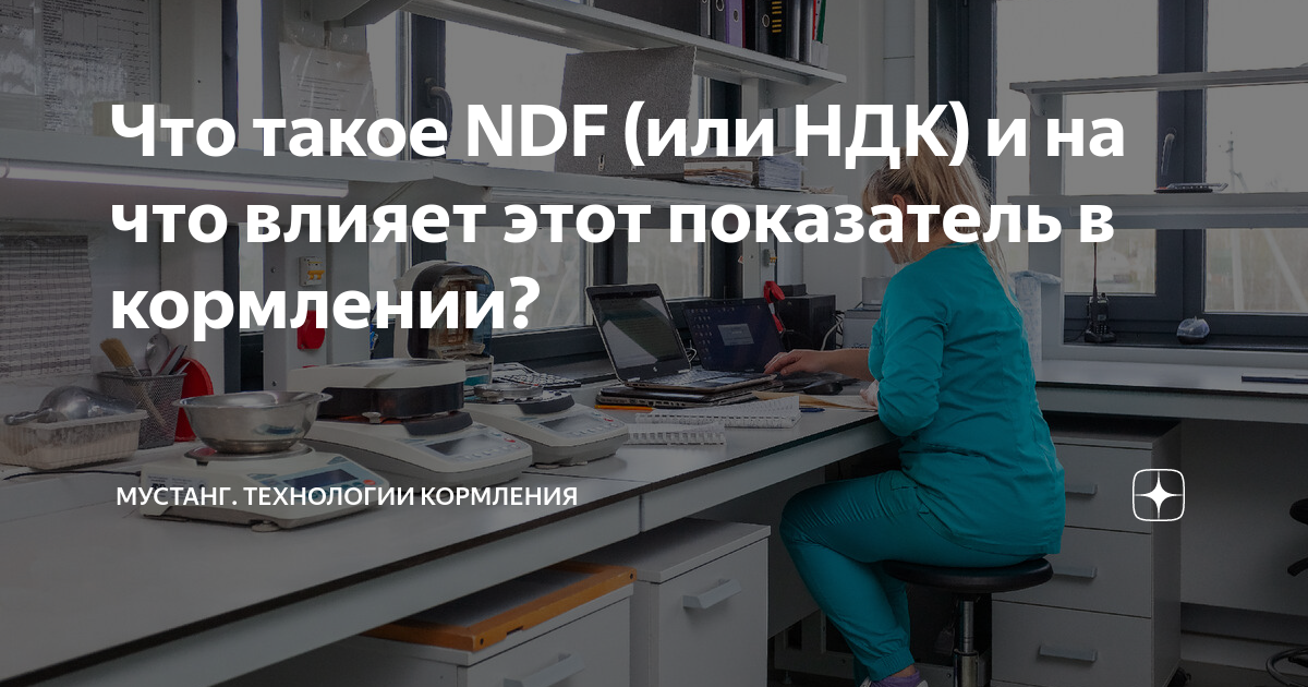 Что такое NDF (или НДК) и на что влияет этот показатель в кормлении ...