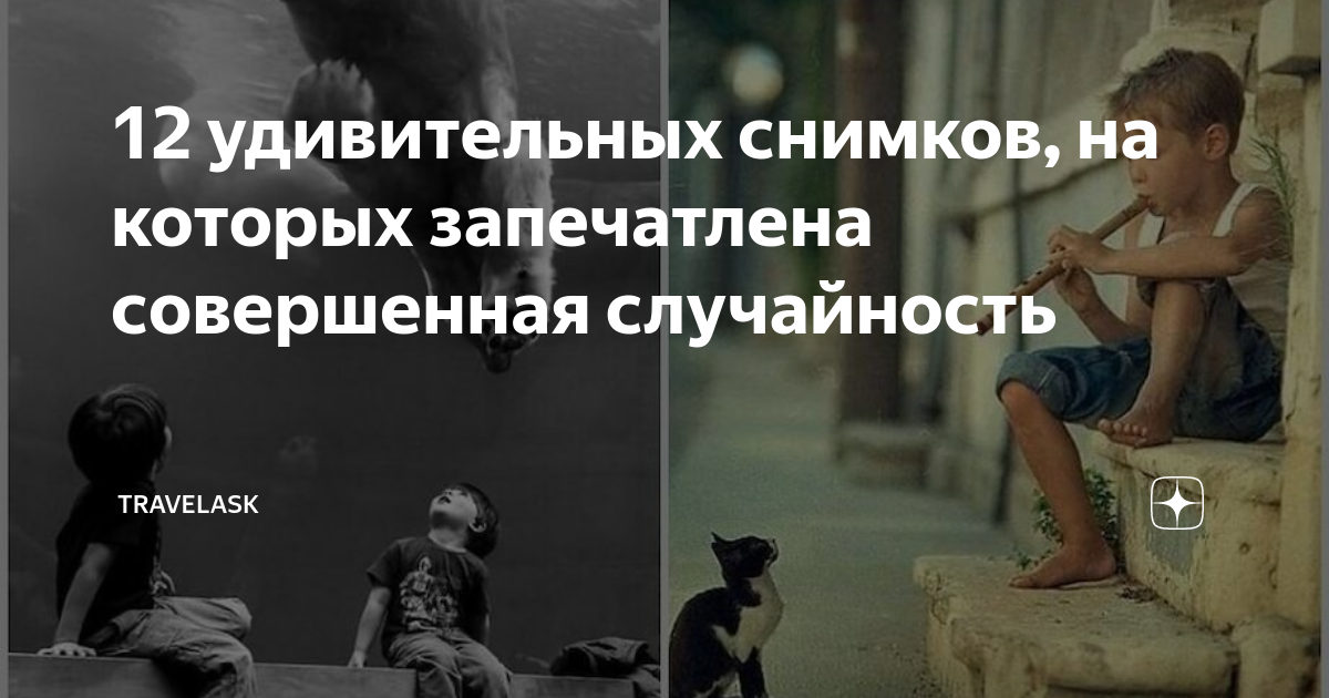 12 удивительных снимков, на которых запечатлена совершенная случайность ...
