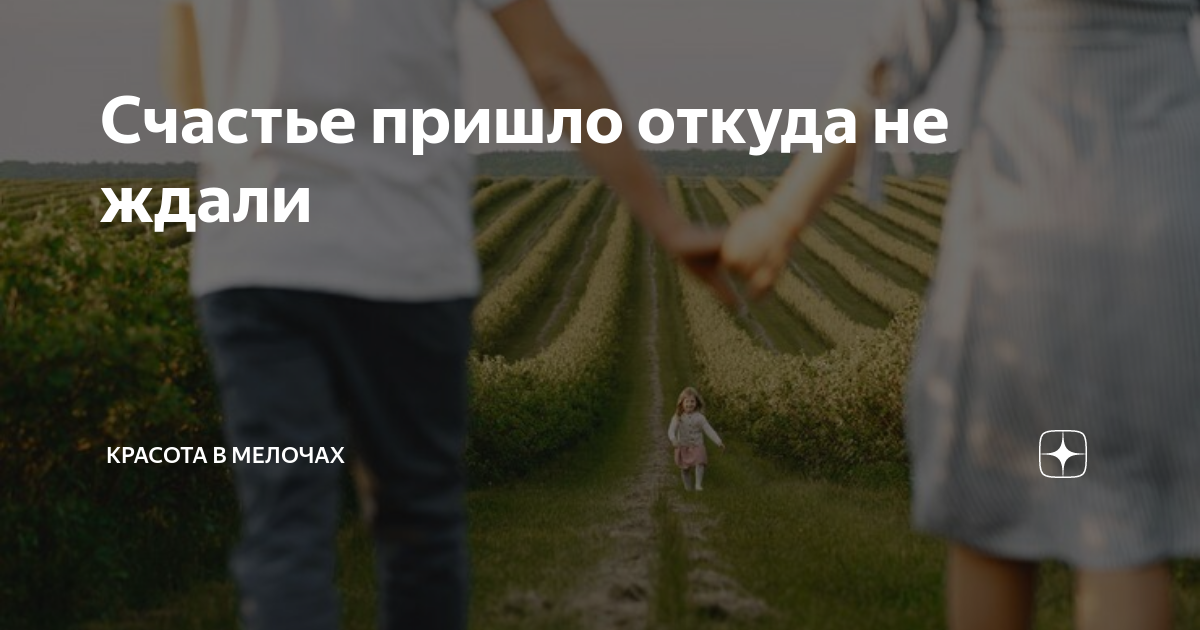 Счастье пришло откуда не ждали | КРАСОТА В МЕЛОЧАХ | Дзен