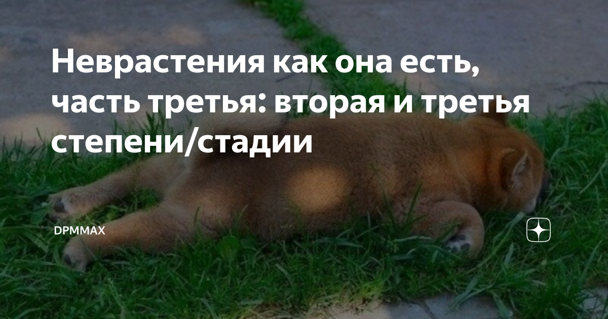 Неврастения как она есть, часть третья: вторая и третья степени/стадии ...