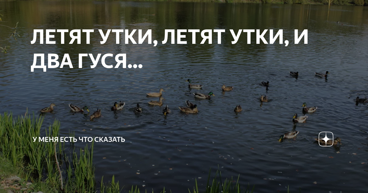 Летели 2 гуся. Летят утки и два гуся текст. Две утки летят. Летят утки летят утки летят утки два гуся. Летят утки песня.