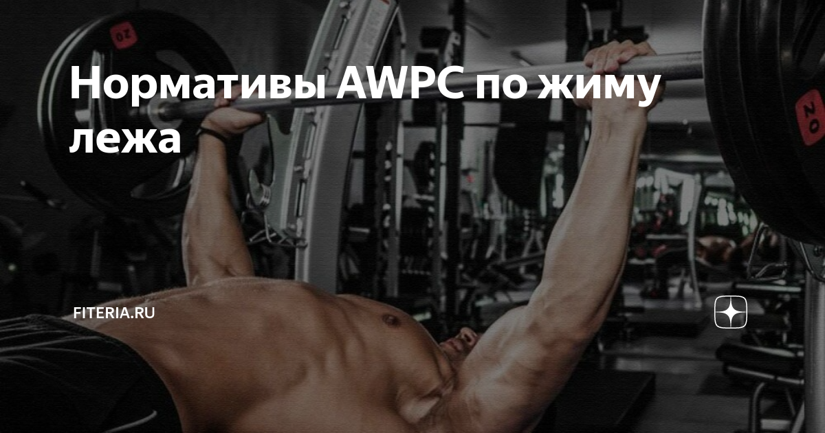 Нормативы AWPC по жиму лежа | Начни с тренировки | Дзен
