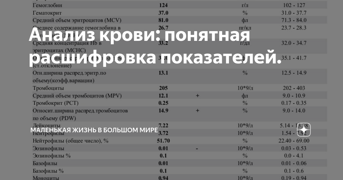 Расшифровка понятен. Расшифровка анализа на тяжелые металлы Титан. Инструкция FOODLAB Jr расшифровка показателей.