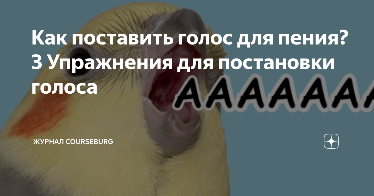 как развивать голос для пения