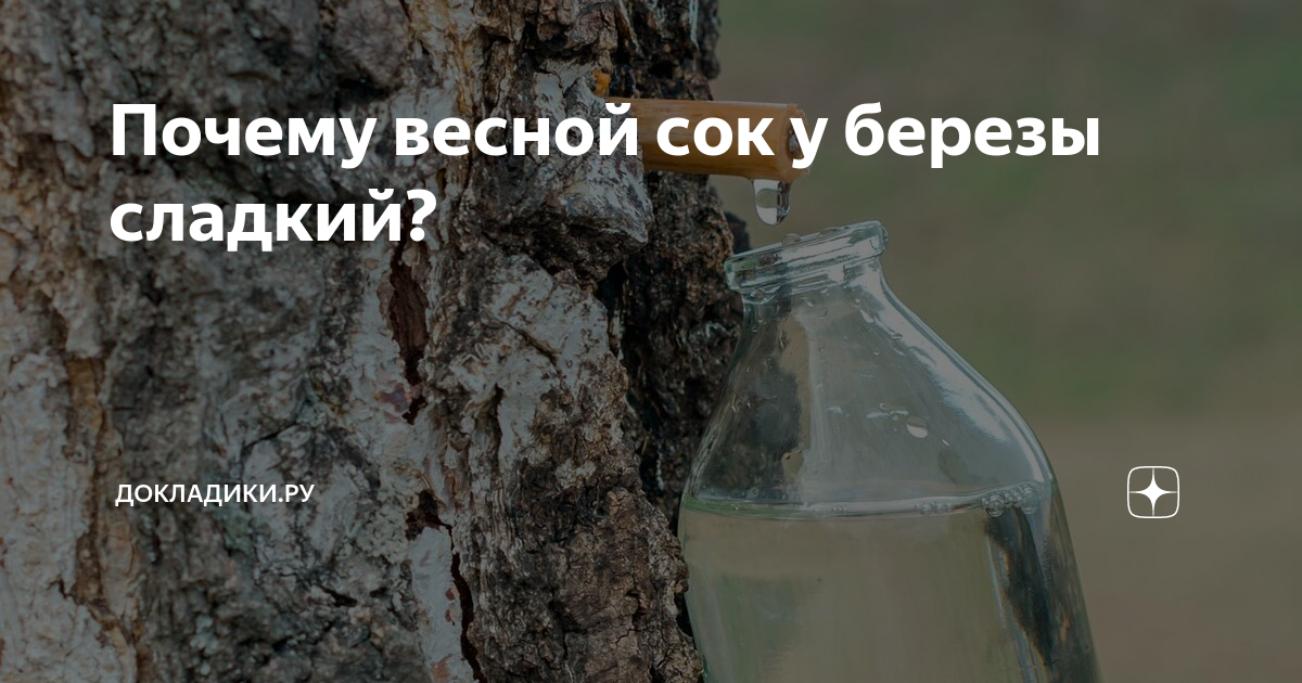 Почему березовый сок желтый