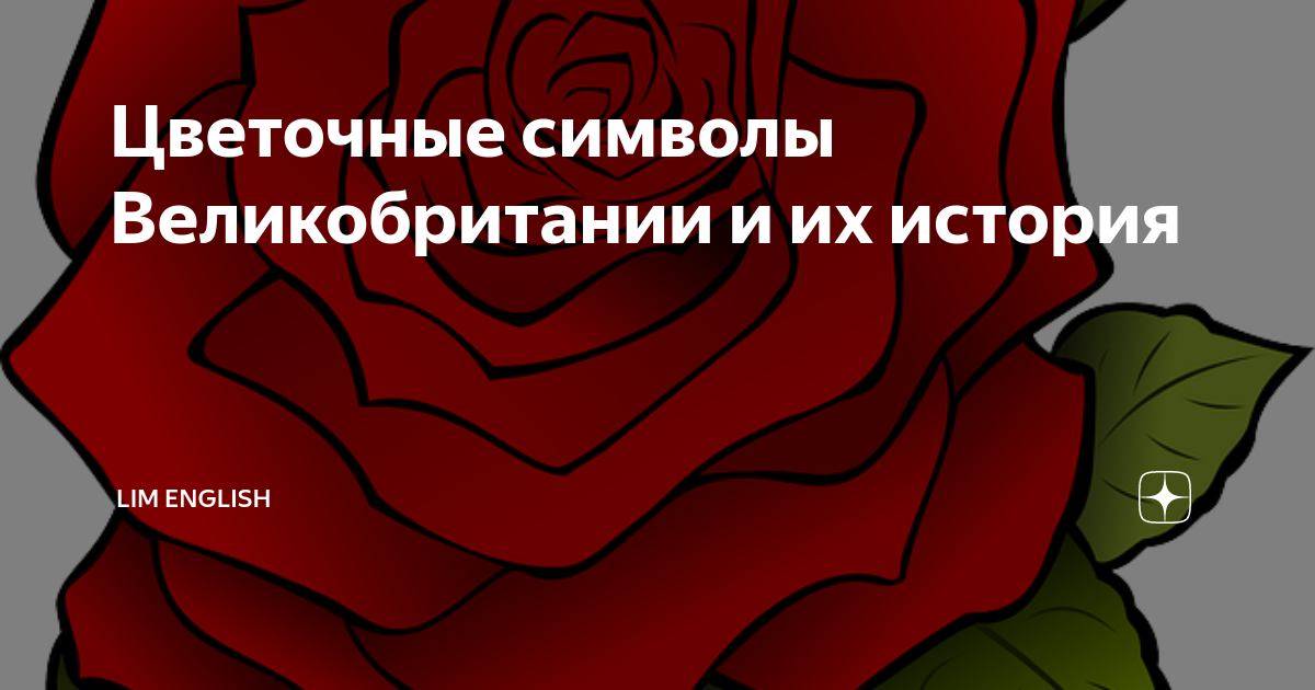 Цветочные символы Великобритании и их история | Lim English | Дзен