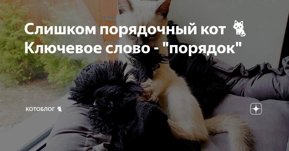 слишком достойный. статусы про достойных мужчин. любой даже самой порядочной девушке необходимо раз в месяц. достойная жена. цитаты про достойных людей.