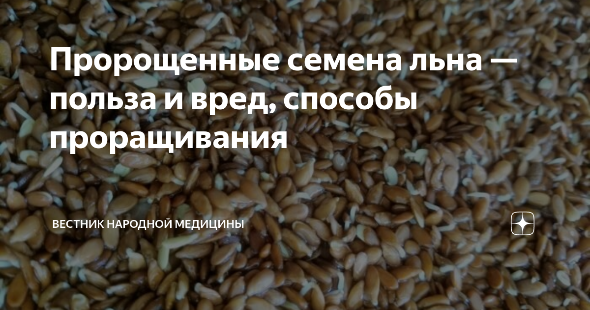 Биокор семя белого льна. Белый лен семена польза для женщин. Семена льна белые золотистые. Семена льна василева слобода 200г. Для чего полезны семена льна.