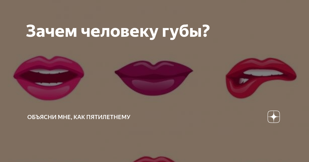 характеристика по форме губ. формы губ. почему человек прикусывает губу. зачем человеку губы. зачем человеку губы.