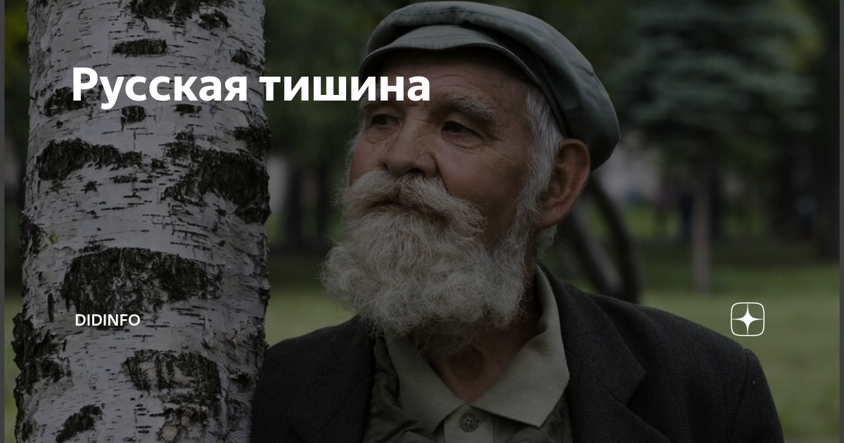 Проект тишина на русском Фото: В тумане / Кадр из фильма "В тумане" (2024) #3960074
