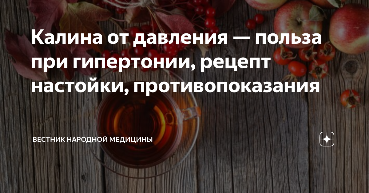 Как правильно есть калину красную, чтобы она снижала давление и помогала от бессонницы