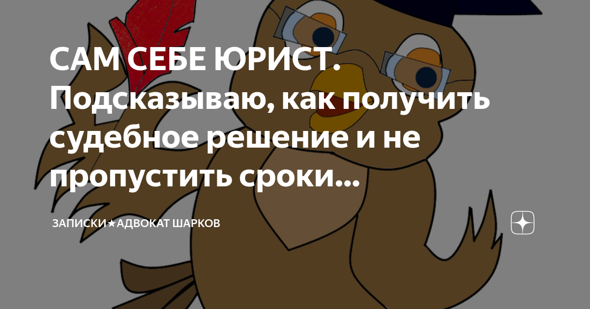 САМ СЕБЕ ЮРИСТ. Подсказываю, как получить судебное решение и не ...
