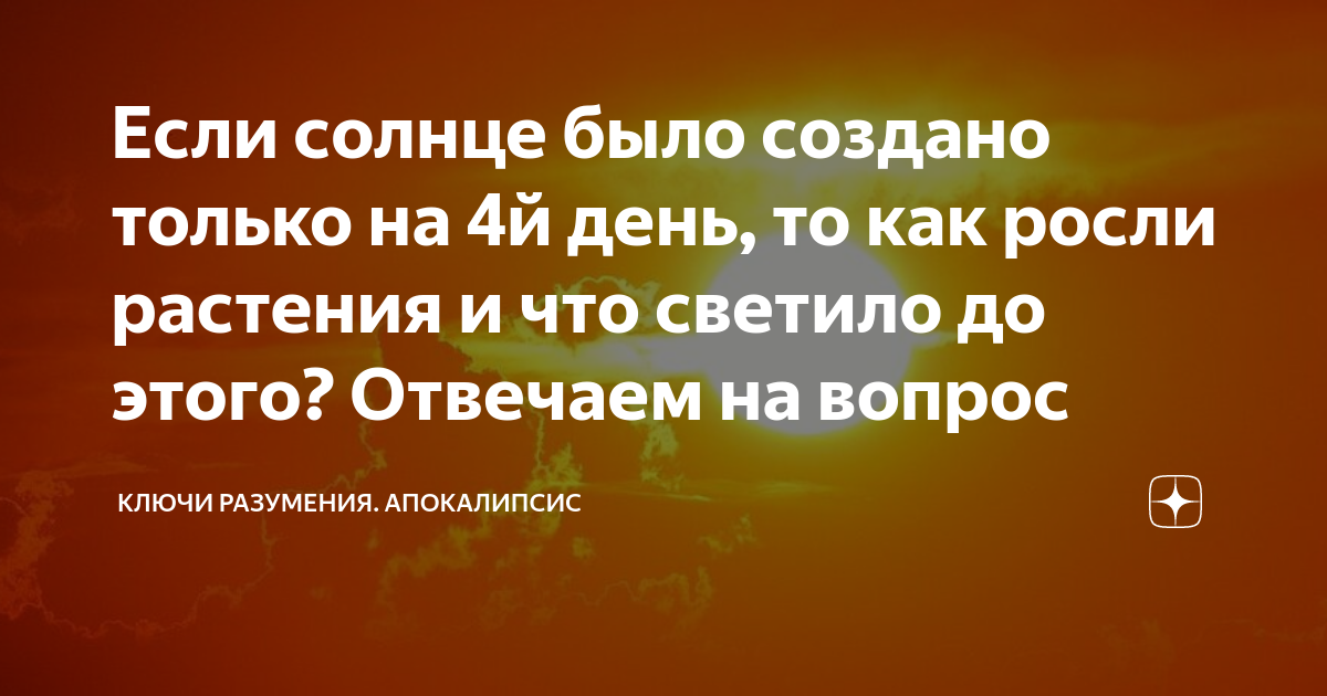 Солнце ярко светило блестели растения вечером друзья садились у стола и разбирали чертеж