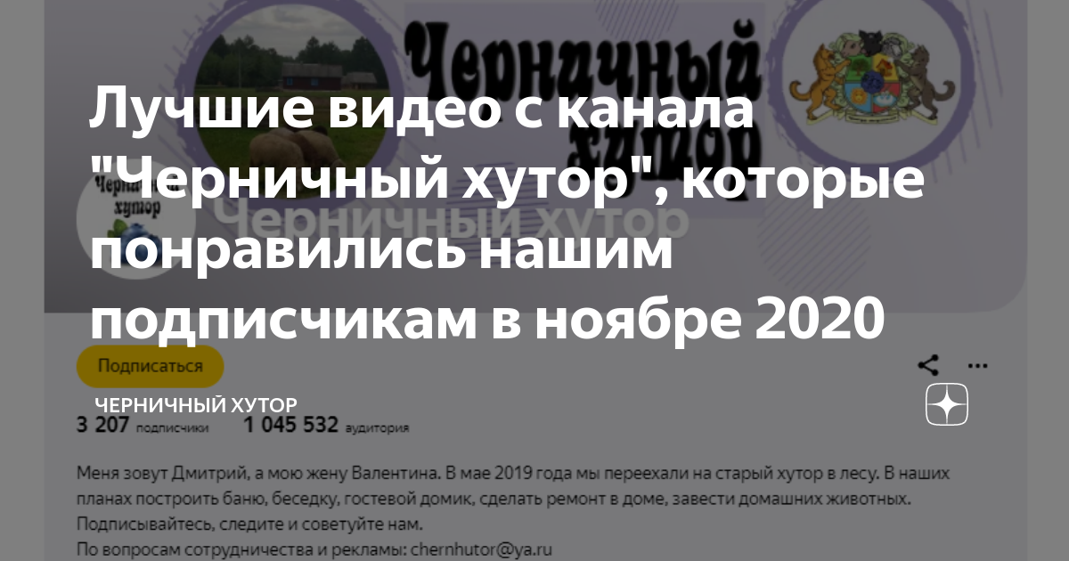 дмитрий с черничного хутора. черничный хутор. канал черничный хутор. канал черничный хутор на дзене. канал черничный хутор на дзене.