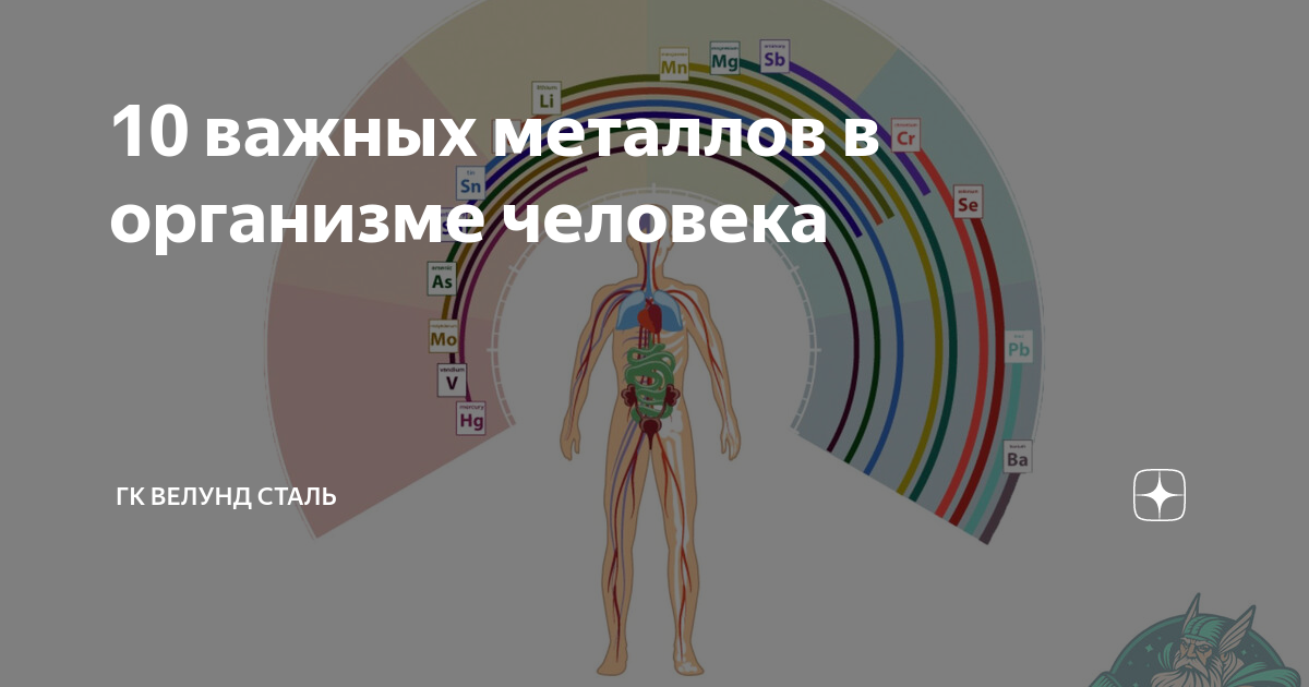 Проект металлы в жизни человека Презентация "Металлы в жизни человека" по химии скачать проект