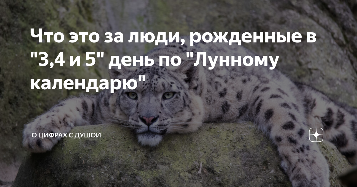 сколько человек рождается в день в рф