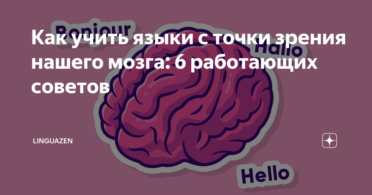 Brain 6