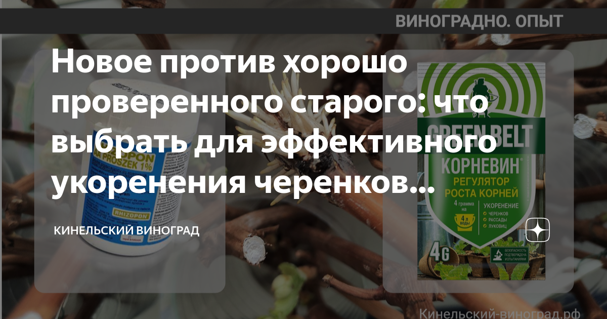 Новое против хорошо проверенного старого: что выбрать для эффективного ...