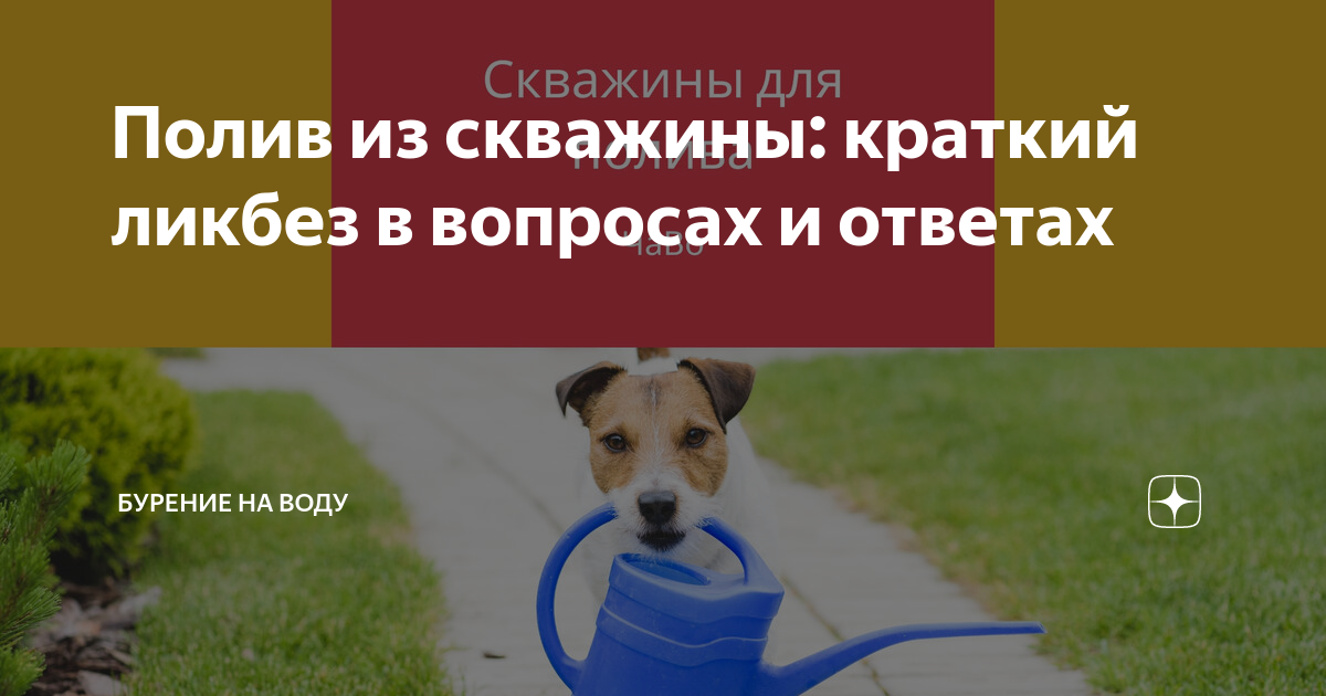 Очистить воду из скважины для полива