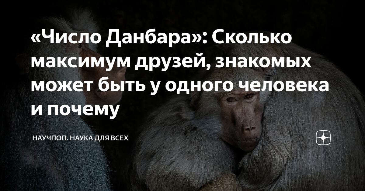Статистика падения самолетов. Высота полёта пассажирского самолёта. Летал компани сколько максимум человек. Летал компани сколько максимум человек. S7 airlines возраст самолетов.