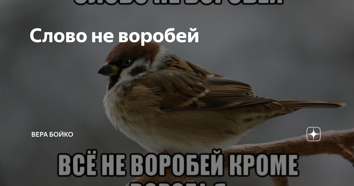 Слово не воробей картинка