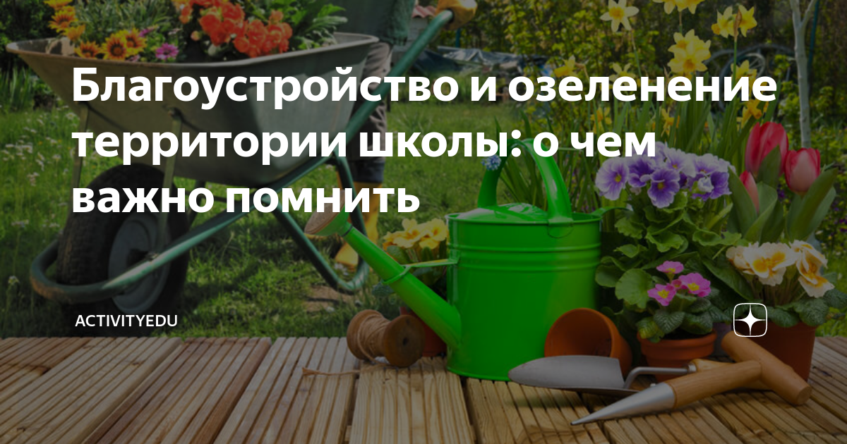 Благоустройство и озеленение территории школы: о чем важно помнить ...