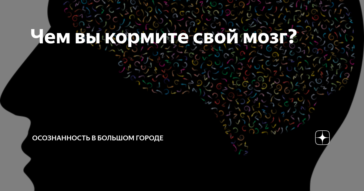 Brain текст. Чем вы кормите свой мозг. Интересные слова про мозг учителя.