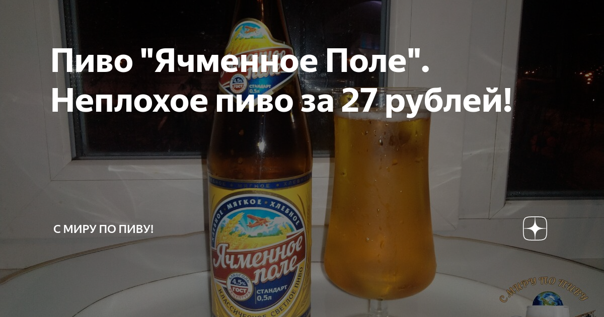 Пиво "Ячменное Поле". Неплохое пиво за 27 рублей! | С Миру по Пиву! | Дзен