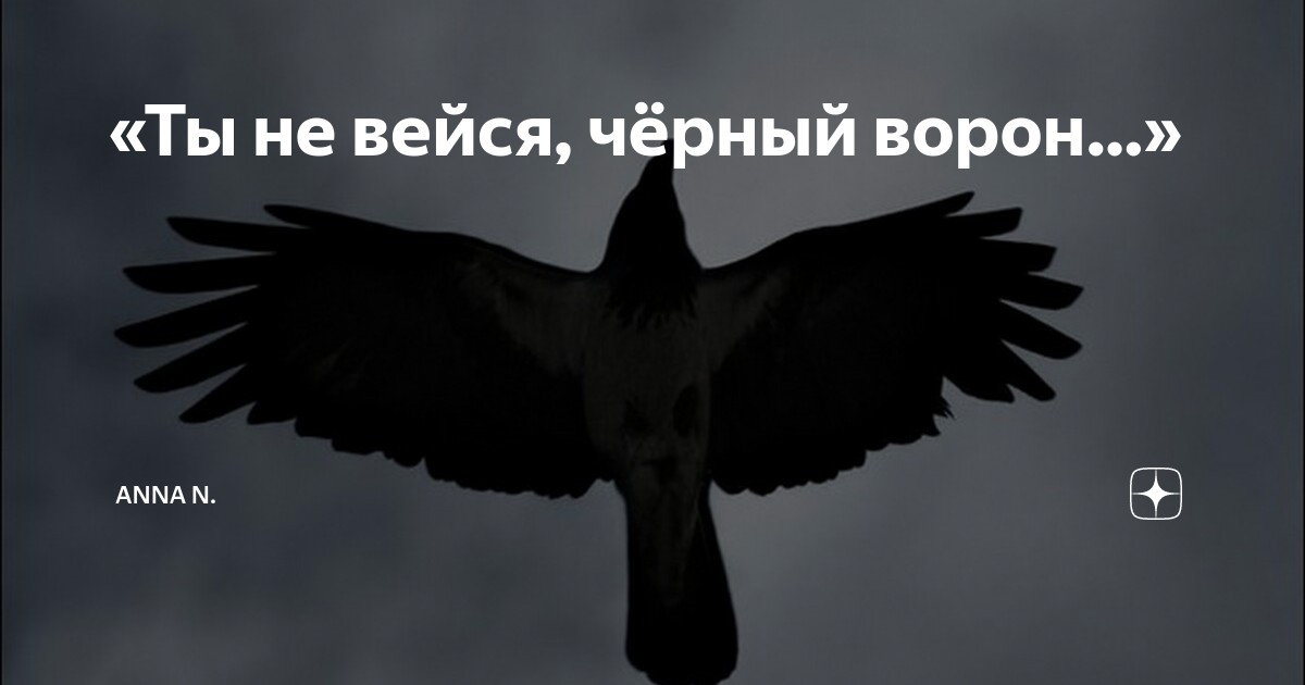 Черный ворон во сне к чему. Ты не вейся черный ворон над моею головой. Черный ворон. Сон черный ворон.