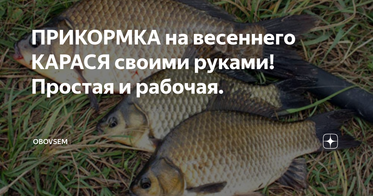 Какую приманку любит карась осенью Steam :: Fisher Online :: Update 58 + event "Leaf fall&quot