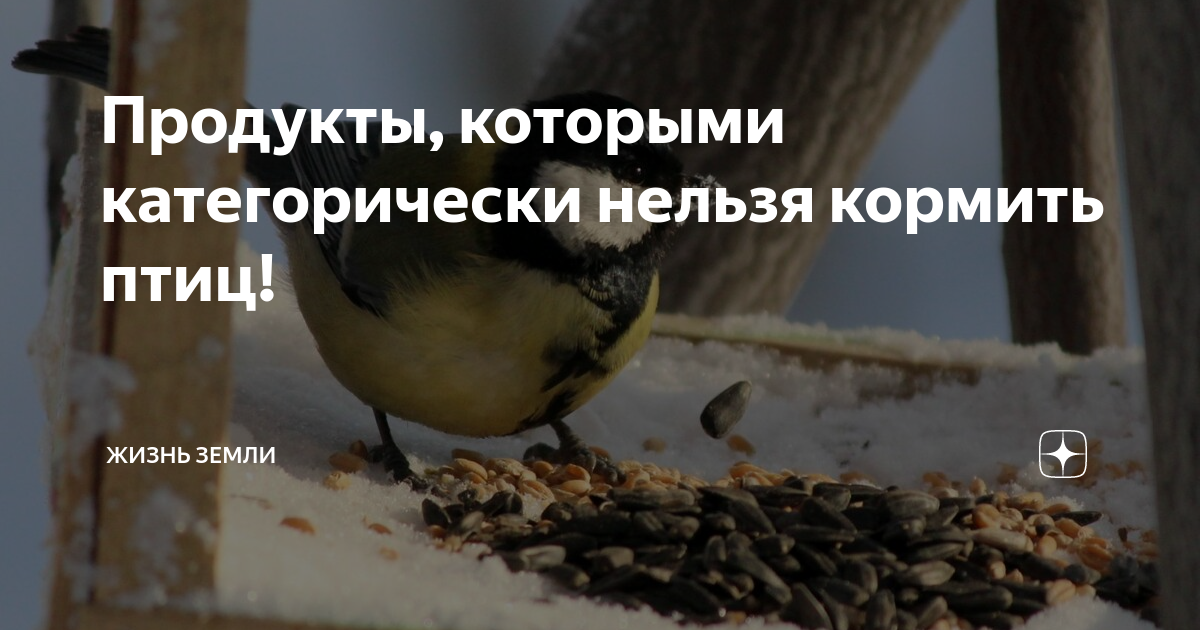 что нельзя есть на песах