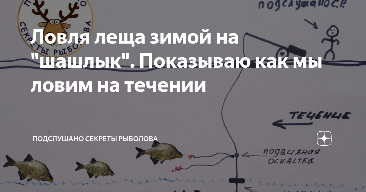 Где ловить леща зимой. Ловля щуки на живца на донку. Ловля щуки на донку с берега на живца. Монтаж для ловли на живца. Ловля на живца на донку