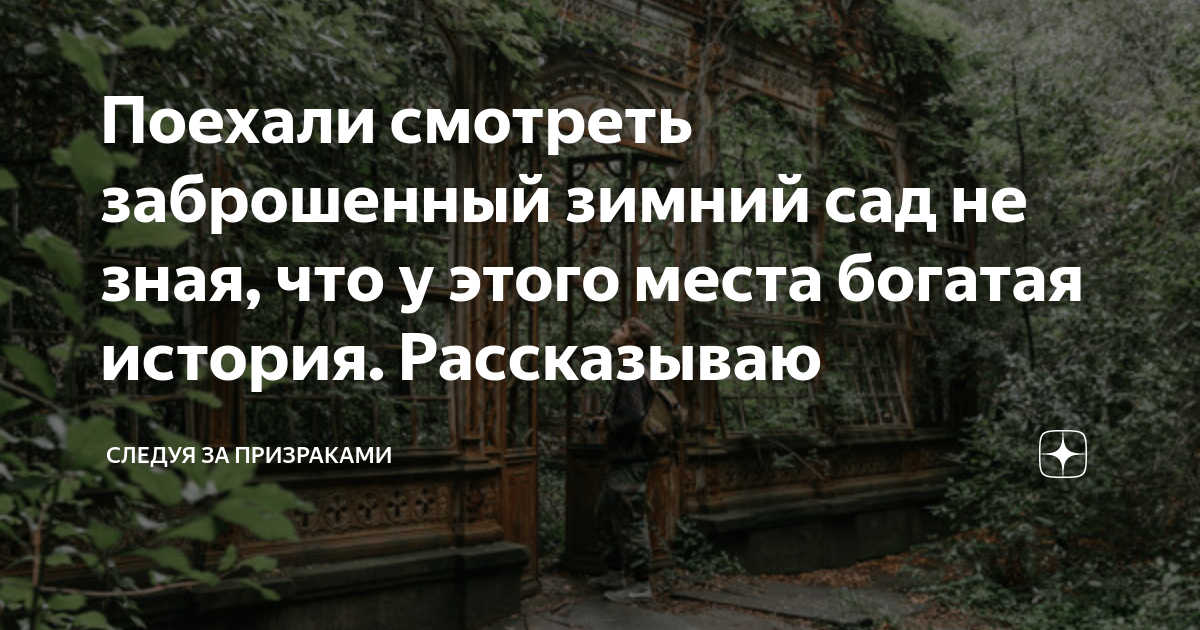 Крымчан удивили «теннисные мячики» на голых ветвях деревьев