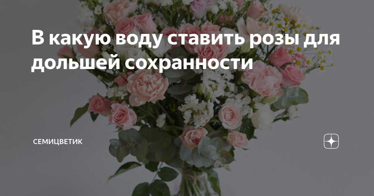 Как ставить розы. В какую воду ставить розы. в какую вазу ставить одну розу. с какими цветами рядом нельзя ставить розы.