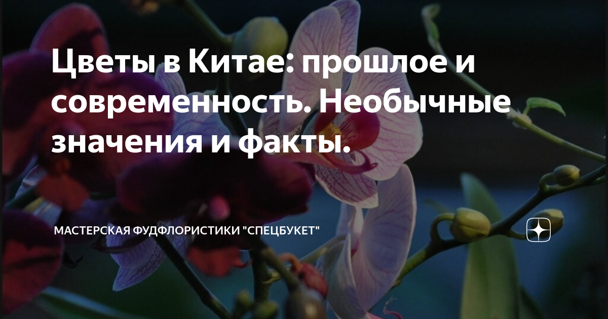 Символика цветочной живописи на Китайских вазах