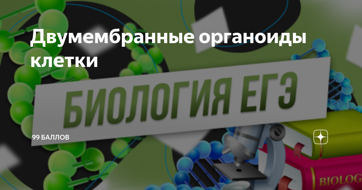 Информационные технологии на уроке биологии по теме 