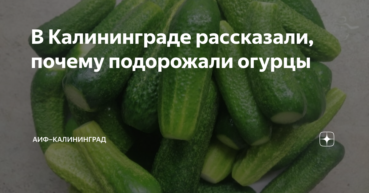 прилавок на рынке с огурцами. огурецы владимир. килограммовый огурец. насколько подорожали огурцы. почему подорожали огурцы.