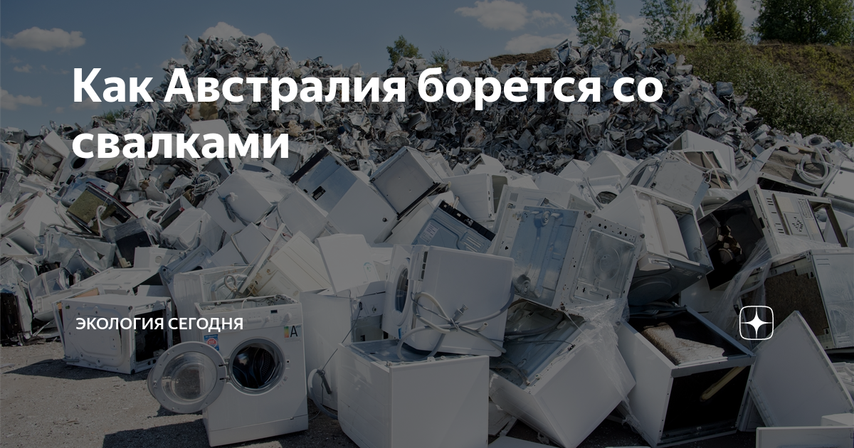 мусорки австралии