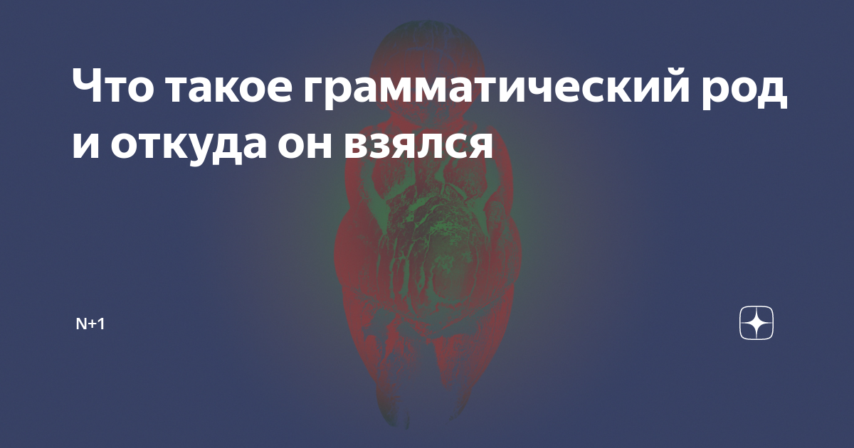 Что такое грамматический род и откуда он взялся | N + 1 | Дзен