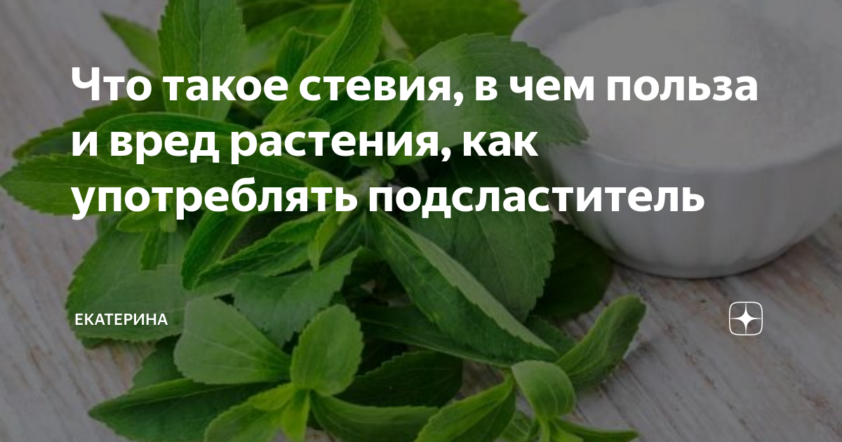 Что такое стевия чем полезна. Чем вредна стевия. Стевия растение польза. Стевия что это такое польза и вред.