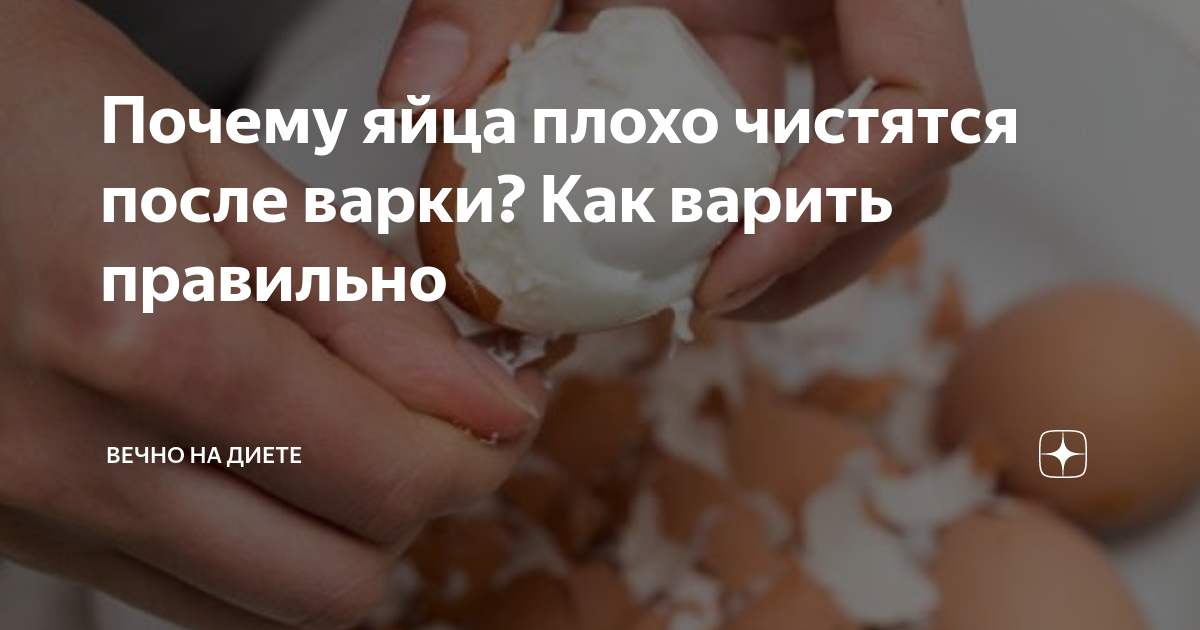 Яйца домашних кур, почему плохо чистятся?